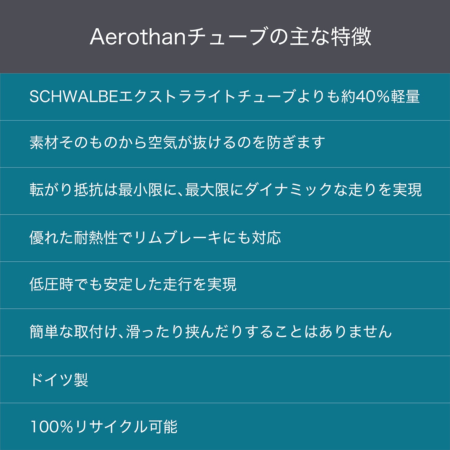 SCHWALBE エアロザン 16E-SV ハコ/仏式40mm/仏式40mm