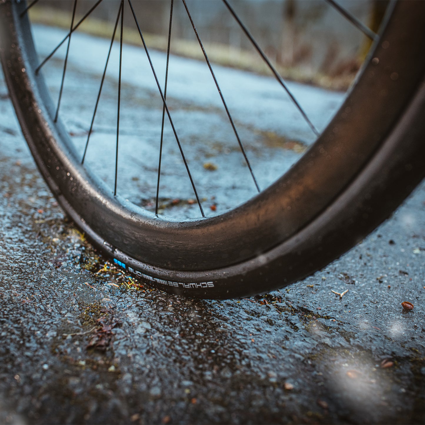 SCHWALBE ワン 365 700 x 28C