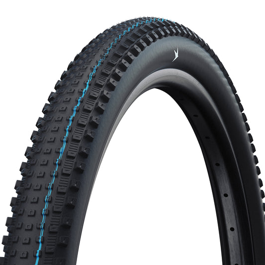 SCHWALBE リック XC ele0384