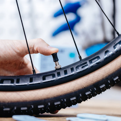 SCHWALBE シュワルベ SCV17 クリックバルブ60mm ブチルチューブ 700C 仏式 SCV60mm SW-10464994