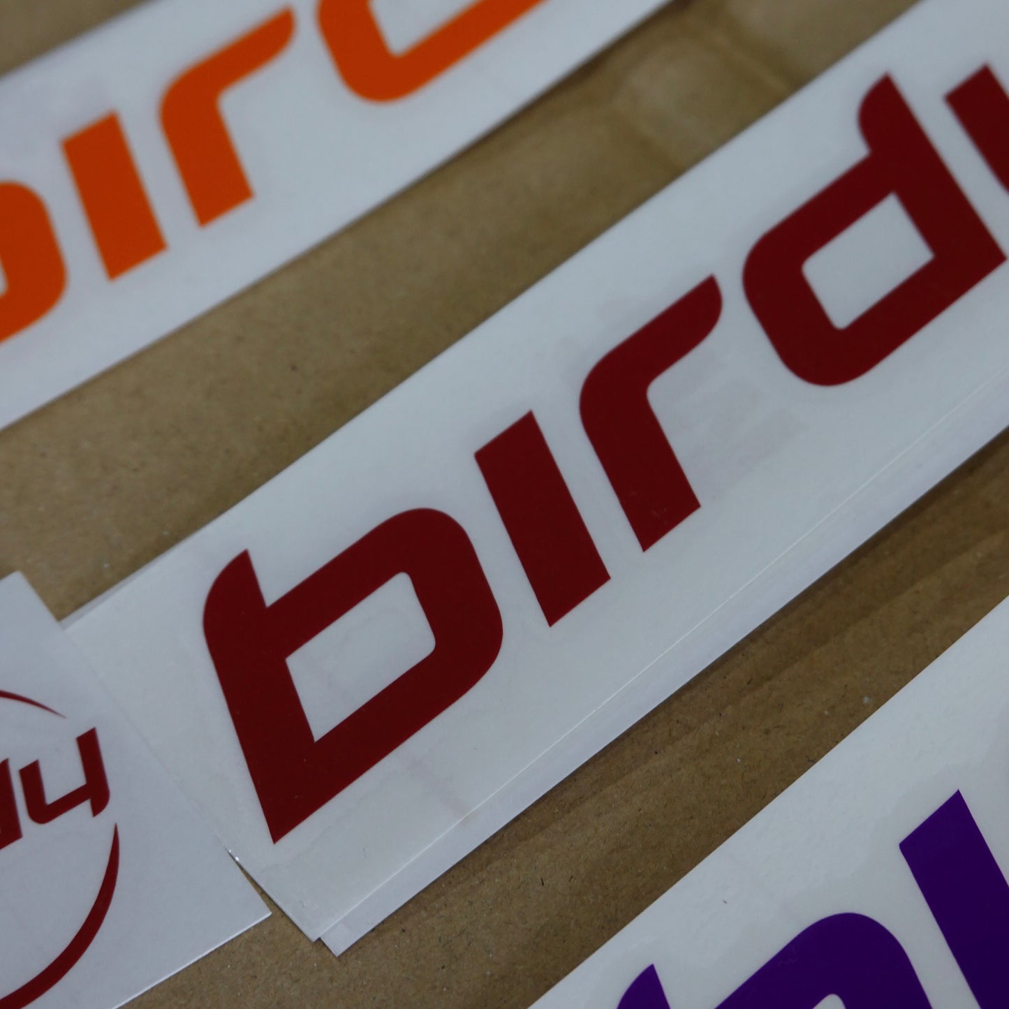 birdy バーディー ロゴステッカーセット Pacific Cycles Japan パシフィックサイクルズジャパン 純正ステッカー