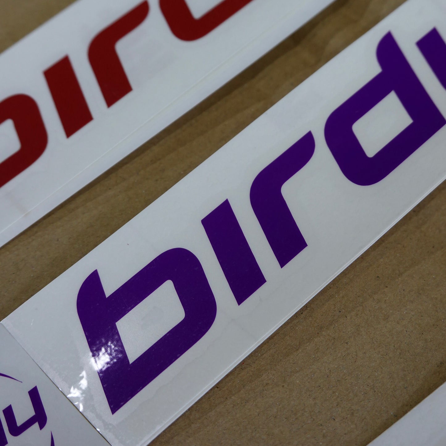 birdy バーディー ロゴステッカーセット Pacific Cycles Japan パシフィックサイクルズジャパン 純正ステッカー