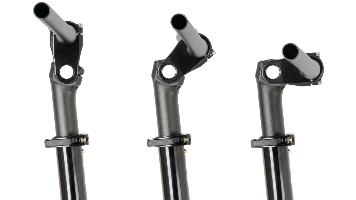 新品未使用 Birdy ノンアジャスタブルステム 19 おまけあり ADJUSTABLE