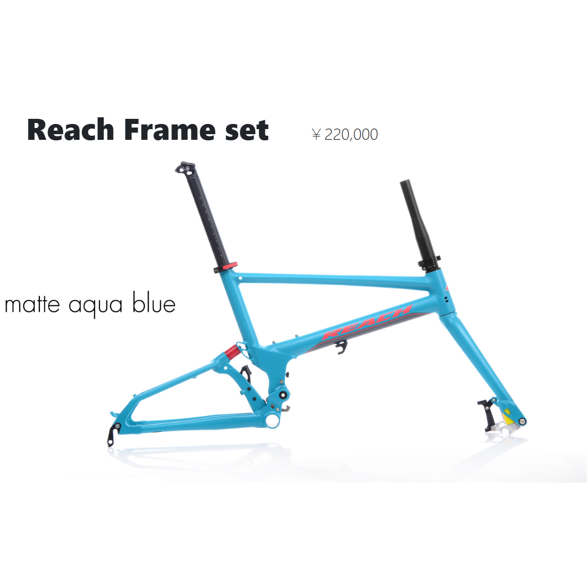 REACH リーチ フレームセット 折りたたみ自転車 ミニベロ 20インチ カスタムベース Pacific Cycles