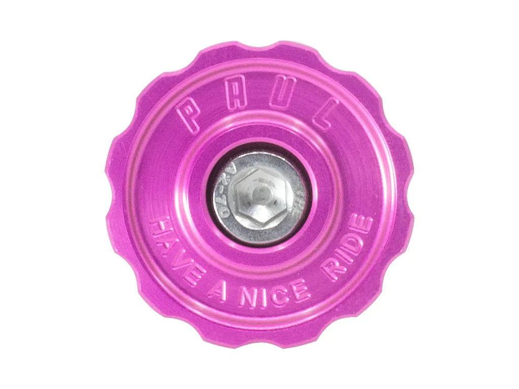 PAUL PCE STEM CAP PINK