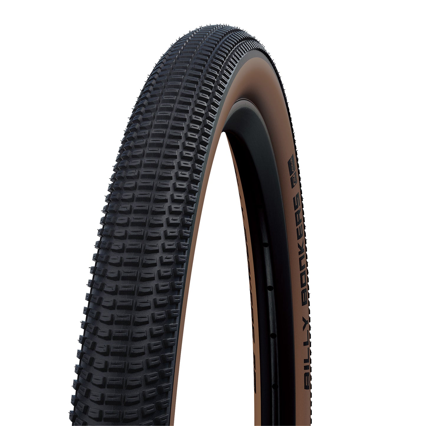 SCHWALBE ビリーボンカーズ 18x2.0